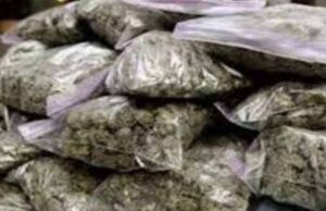 जूटमिल पुलिस ने रावण आटो दुकान में छापेमारी कर 310 पाउच गांजा के साथ महिला गिरफ्तार