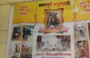 इंदौर में अब जानवरों का भी होगा अंतिम संस्कार, नगर निगम ने हरियाणा की कंपनी से कॉन्ट्रेक्ट साइन किया