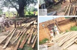 वन विभाग ने एक बड़ी कार्रवाई को दिया अंजाम, 50 हजार की अवैध इमारती लकड़ी जब्त
