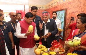मुख्यमंत्री डॉ. यादव ने बॉम्बे ग्रीन और मणि प्रभा किस्म का स्वाद चख कर आम महोत्सव का किया शुभारंभ