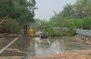 मध्यप्रदेश में लगातार 42वें दिन भी आंधी-बारिश का अलर्ट, भोपाल-इंदौर समेत 45 जिलों में आंधी-बारिश