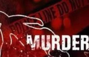 सेक्स की डिमांड करता था पति, आधी रात को पत्नी ने मार डाला; 15 दिन पहले हुई थी शादी