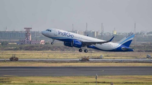 indigo1-1.jpg