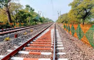 महू से मुख्तियारा बलवाड़ा रेल लाइन बिछाने में काटेंगे एक लाख 55 हजार पेड़, सबसे ज्यादा नुकसान वनमंडल को