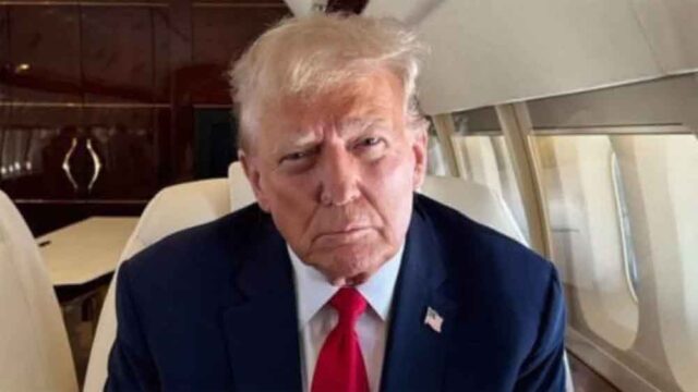 donald1-3.jpg