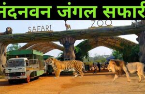 होली पर जंगल सफारी का प्लान बना रहे हैं? 3 मार्च से कुछ दिनों तक पर्यटकों की एंट्री रहेगी बंद