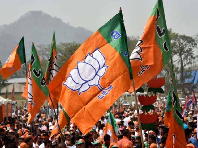BJP2-6.jpg