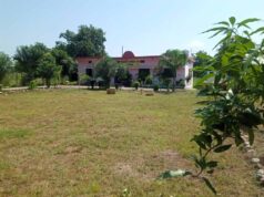 दुर्ग को मिलेगा हरियाली का तोहफा: 2 करोड़ की लागत से बनेंगे 4 नए उद्यान