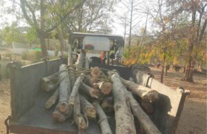 वन तस्करों पर वन विकास निगम की बड़ी कार्रवाई, अवैध लकड़ी से भरा ट्रैक्टर जप्त
