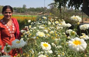 बिहान योजना से खिला रत्ना का भविष्य, फूलों की खेती से बनीं सफल उद्यमी