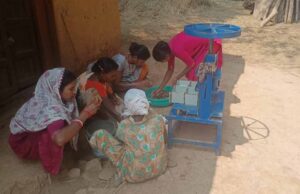 वनांचल की किस्मत बदलने वाली फसल साबित हुई इमली