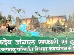 भोरमदेव अभयारण्य में बाघों के लिए खाली होंगे गांव, प्राकृतिक धरोहर बचाने की दिशा में बड़ा कदम