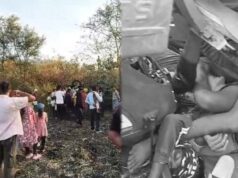 गड्ढे में पलटा ट्रैक्टर, 4 दोस्तों की मौत; डिंडौरी से गिट्टी लेने अनूपपुर आए थे, जेसीबी से निकाले गए शव