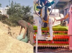 इंदौर की किसान दीदी ने जगाई पराली नहीं जलाने की अलख, 600 बीघा खेत बचाए
