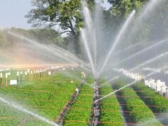 मध्य प्रदेश के 678 गांवों को चूमेगी हरियाली, वॉटर प्रोजेक्ट पर मोहन सरकार बहाएगी पैसा