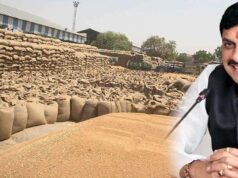 समर्थन मूल्य पर गेहूं उपार्जन का लक्ष्य बढ़ाने भारत सरकार से चर्चा जारी: मुख्यमंत्री डॉ. यादव