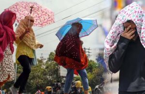 एमपी के 25 जिलों में लू का डबल अटैक, खजुराहो और धार में अधिक तपन, IMD ने जारी किया अलर्ट