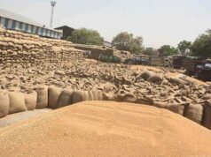प्रदेश में किसानों के लिए खुशखबरी, गेहूं उपार्जन की तारीख बढ़ी, जानें नया अपडेट