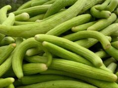 गर्मी में ककड़ी खाने के फायदे, शरीर को रखे ठंडा और हाइड्रेटेड