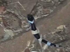 अबूझमाड़ के जंगलों में दिखा दुर्लभ लेपर्ड गेको, जवानों की नाइट पेट्रोलिंग में कैद हुआ अनोखा वीडियो