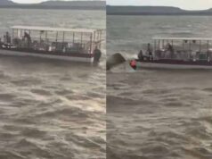 बरगी डैम में बड़ा हादसा: क्रूज पलटा, 4 की मौत; 14 को बचाया गया, रेस्क्यू जारी