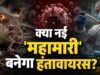 क्रूज शिप पर हंतावायरस का कहर, 3 मौतों के बाद WHO ने जारी किया अलर्ट