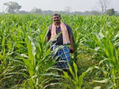 संघर्ष से समृद्धि- नक्सल मुक्त क्षेत्रों में आधुनिक खेती से कृषक गोपाल एर्रागोला ने रची सफलता की नई इबारत