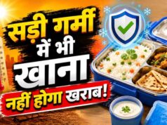 गर्मी में टिफिन पैकिंग गाइड: खाने को जल्दी खराब होने से बचाने के आसान तरीके