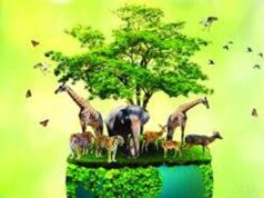 मध्य प्रदेश बना वन्यजीव संरक्षण का मॉडल, कूनो से वैश्विक पहचान