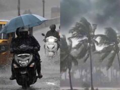 तेज आंधी-बारिश से रायपुर बेहाल, पेड़ गिरे, फिर बिगड़ सकता है मौसम
