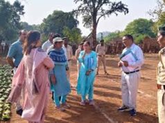 तेंदूपत्ता लक्ष्य पर प्रशासन सख्त: वन अधिकारियों ने फड़ों का किया औचक निरीक्षण