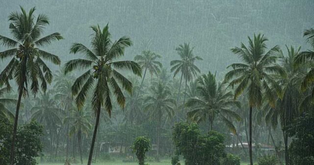 Mansoon-1.jpg