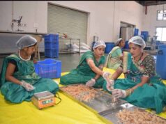 बदलता छत्तीसगढ़: वनोपज की चमक से संवरती ग्रामीण अर्थव्यवस्था