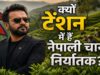 भारत के नए नियम से नेपाल की चाय इंडस्ट्री पर संकट, फैक्ट्रियों में उत्पादन ठप; अब पाकिस्तान-बांग्लादेश से उम्मीद