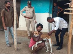 पेंच टाइगर रिजर्व में अलर्ट! बाघों को बचाने के लिए 1500 कुत्तों को लगाई जा रही वैक्सीन