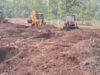 खंडवा में 200 एकड़ जंगल से हटाया अतिक्रमण, 30 JCB और 600 कर्मचारियों की बड़ी कार्रवाई