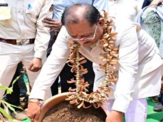 तेंदूपत्ते से समृद्धि, तीखुर से आत्मनिर्भरता : बड़ेकनेरा में वनाधारित आजीविका का सशक्त मॉडल बना प्रेरणा