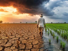 एल-नीनो का मानसून पर बड़ा असर, जून में 42% कम बारिश; 100 साल का तीसरा सबसे सूखा महीना