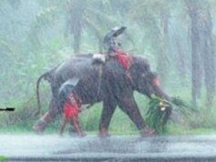 आ गई खुशखबरी! भारत में मानसून की धमाकेदार एंट्री, जानिए यूपी-बिहार में कब देगा दस्तक