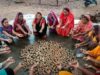 सीड बॉल बनाकर प्रकृति संरक्षण की अनूठी पहल, हरित जशपुर के निर्माण पर जोर