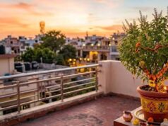 छत पर तुलसी रखने से पहले जानें 3 जरूरी नियम, वरना बढ़ सकती हैं परेशानियां