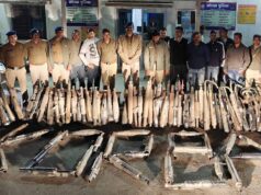 बिलासपुर में कानफोड़ू साइलेंसर और प्रेशर हॉर्न पर पुलिस का एक्शन, वाहन चालकों में मचा हड़कंप