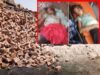 छत्तीसगढ़ में दर्दनाक हादसा, दीवार ढहने से दो बच्चों की मौत, महिला गंभीर घायल