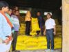 बिलासपुर में खाद की कोई कमी नहीं, समितियों और विक्रेताओं के पास पर्याप्त स्टॉक उपलब्ध