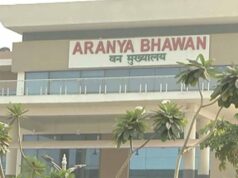 छत्तीसगढ़ वन विभाग में बड़ा फेरबदल, चार वरिष्ठ IFS अधिकारियों को मिली नई जिम्मेदारी