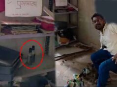 Kawardha के सरकारी स्कूल में शराब पीते पकड़ा गया शिक्षक, DEO ने जांच के दिए निर्देश