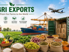 India Exports: जून में 15.5% बढ़ा भारत का निर्यात, व्यापार घाटा 30.43 अरब डॉलर पर पहुंचा