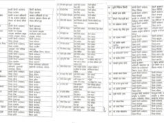 MP में 10 साल बाद प्रमोशन प्रक्रिया को मिली रफ्तार, 190 तहसीलदार बने डिप्टी कलेक्टर; देखें पूरी सूची