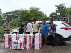 CG में नशा तस्करों पर बड़ा प्रहार, 1 करोड़ का गांजा जब्त; फर्जी नंबर प्लेट वाली कार समेत 3 गिरफ्तार
