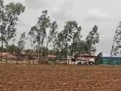CG में बारिश थमते ही खेती पर असर, बोवनी और रोपाई का काम हुआ प्रभावित